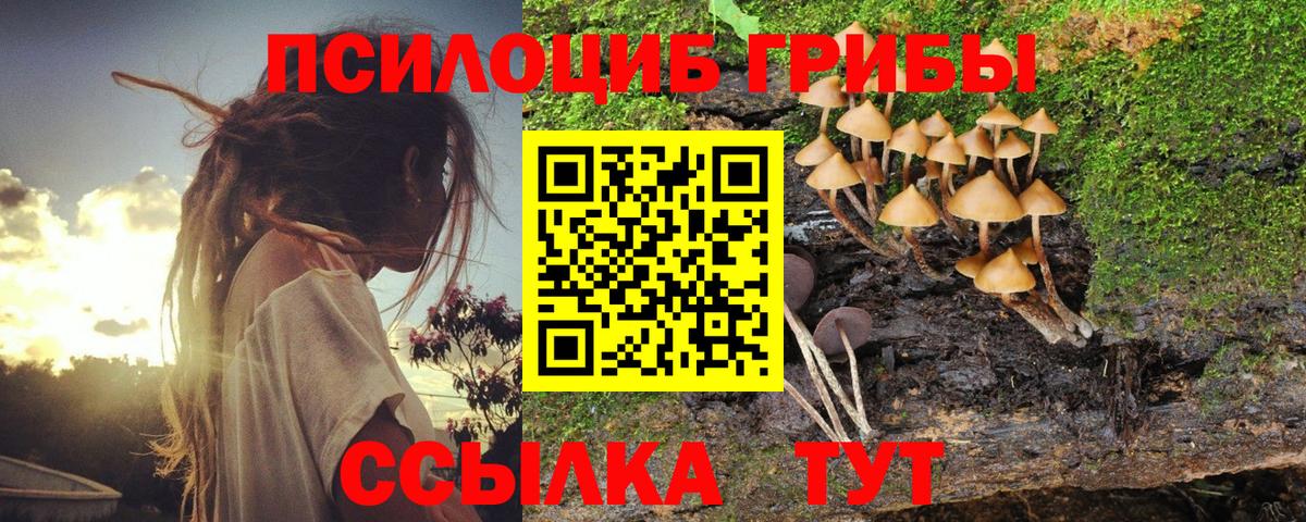 Псилоцибиновые грибы Psilocybe Симферополь