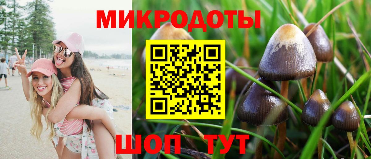 Симферополь  Галлюциногенные грибы MAGIC MUSHROOMS  Вход с VPN 